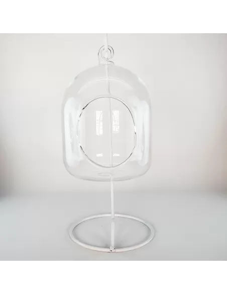 Hanging glass terrarium with metal support
