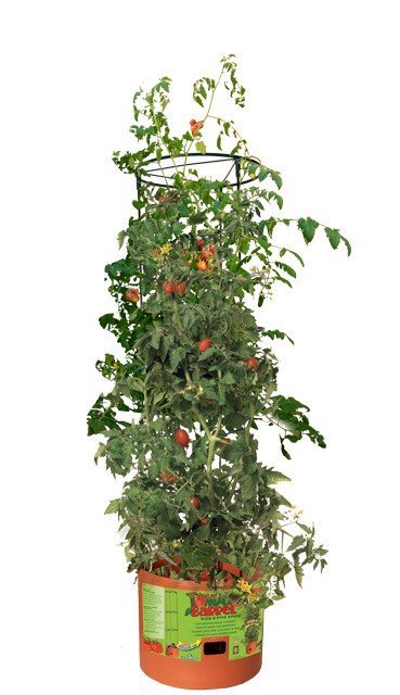 Planter for growing tomatoes