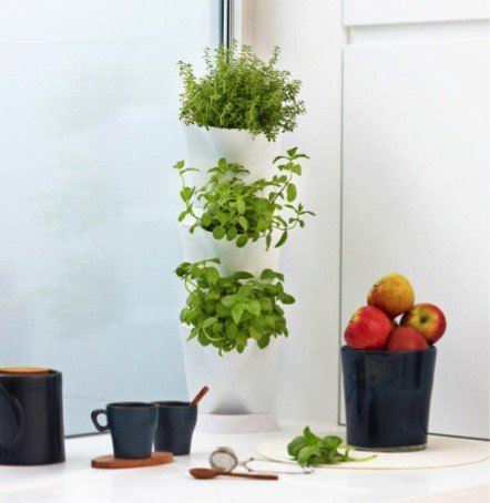 Mini Garden Corner