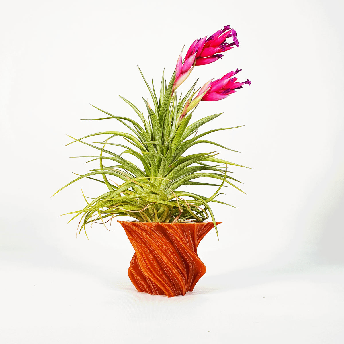 Tillandsia pot stand 3D bark design