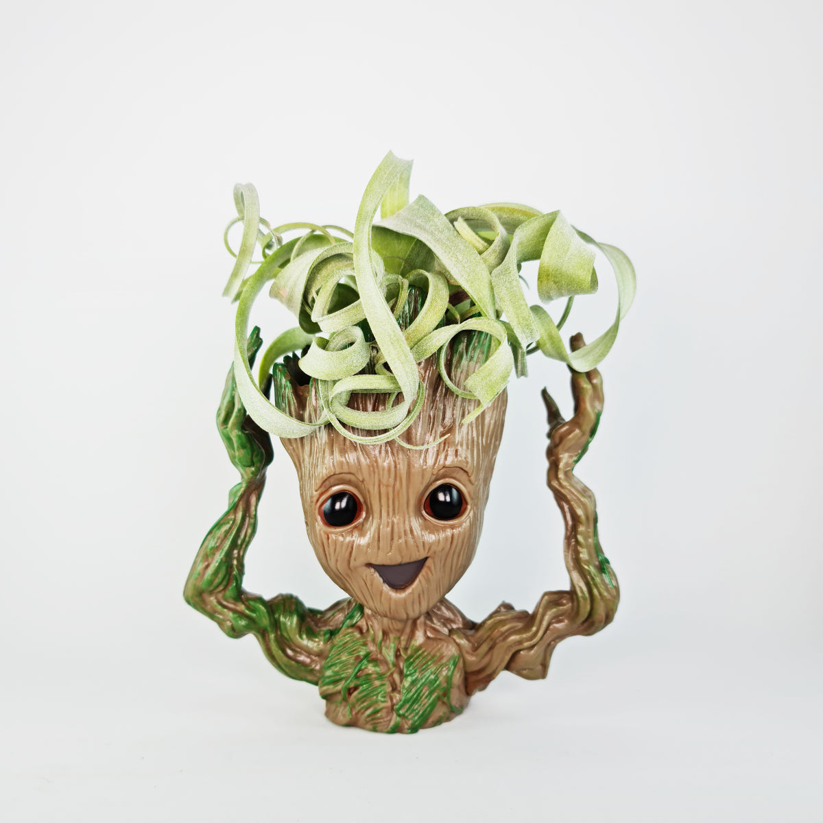 Root doll support with plant