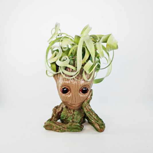 Support for Thinking Root Doll + Tillandsia