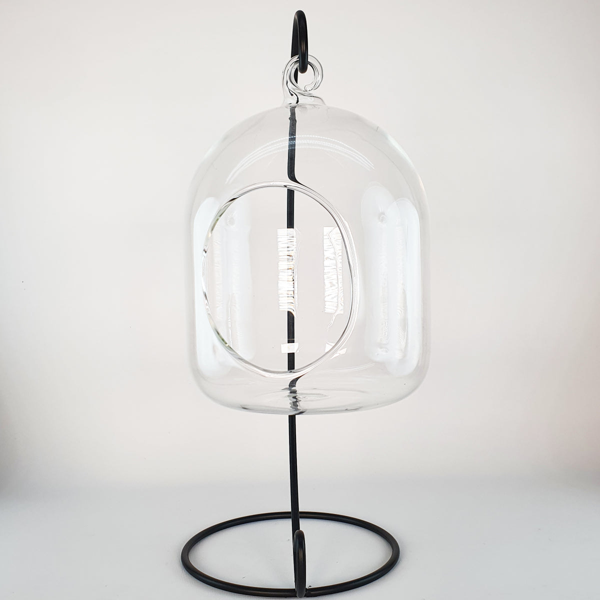 Hanging glass terrarium with metal support