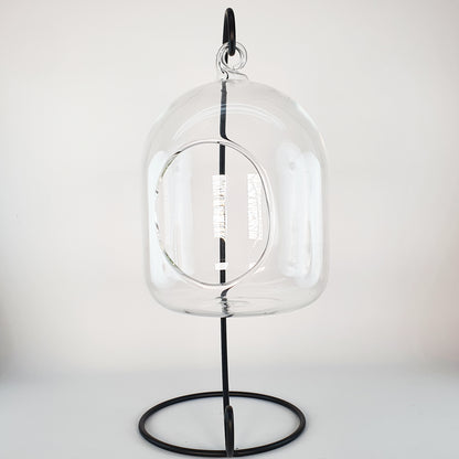 Hanging glass terrarium with metal support